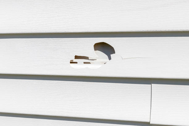 Best Siding Removal and Disposal  in Dyersville, IA