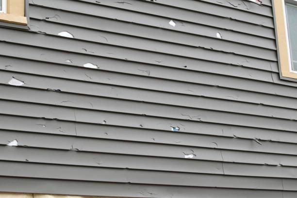 Best Aluminum Siding Installation  in Dyersville, IA